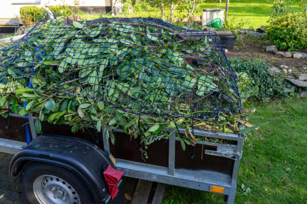 Best Shed Removal  in Athens, TN